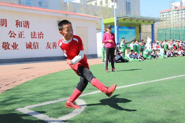 下载满冠